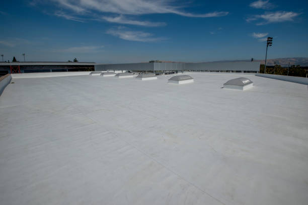 Best Cold Roofs  in Leesburg, VA